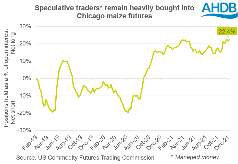 Chart showing positions held by speculative traders in Chicago maize futures